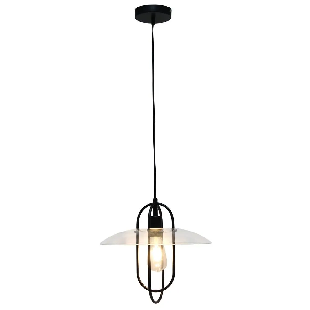 1 Light Modern Metal Pendant Light, Black