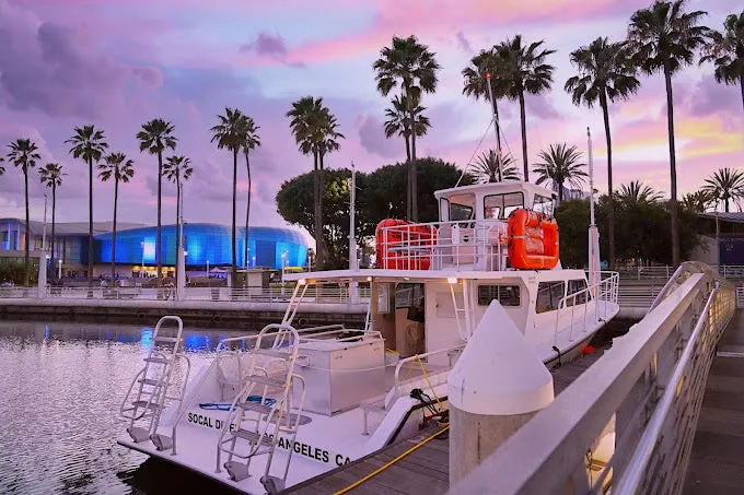 Catalina Dive Charter - May 25th, 2024 - SoCal Diver