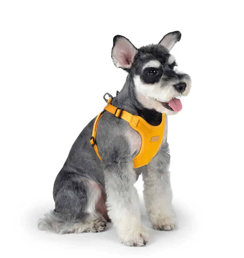 Comfort Dog Harness in Yellow
