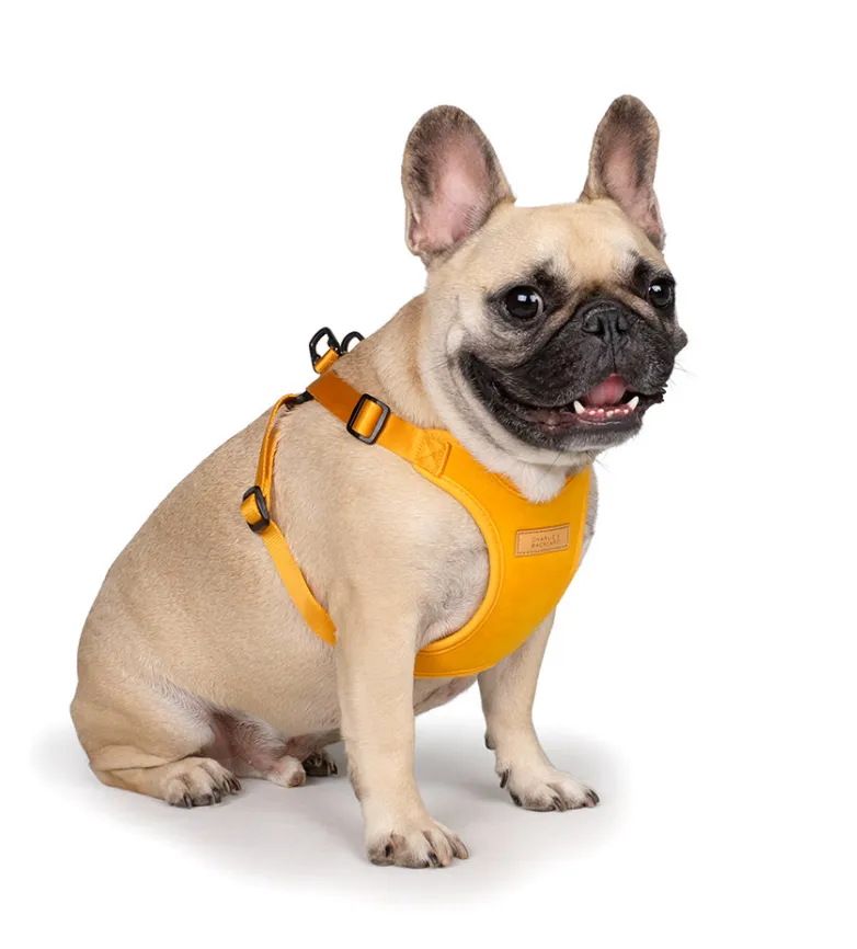 Comfort Dog Harness in Yellow