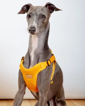 Comfort Dog Harness in Yellow