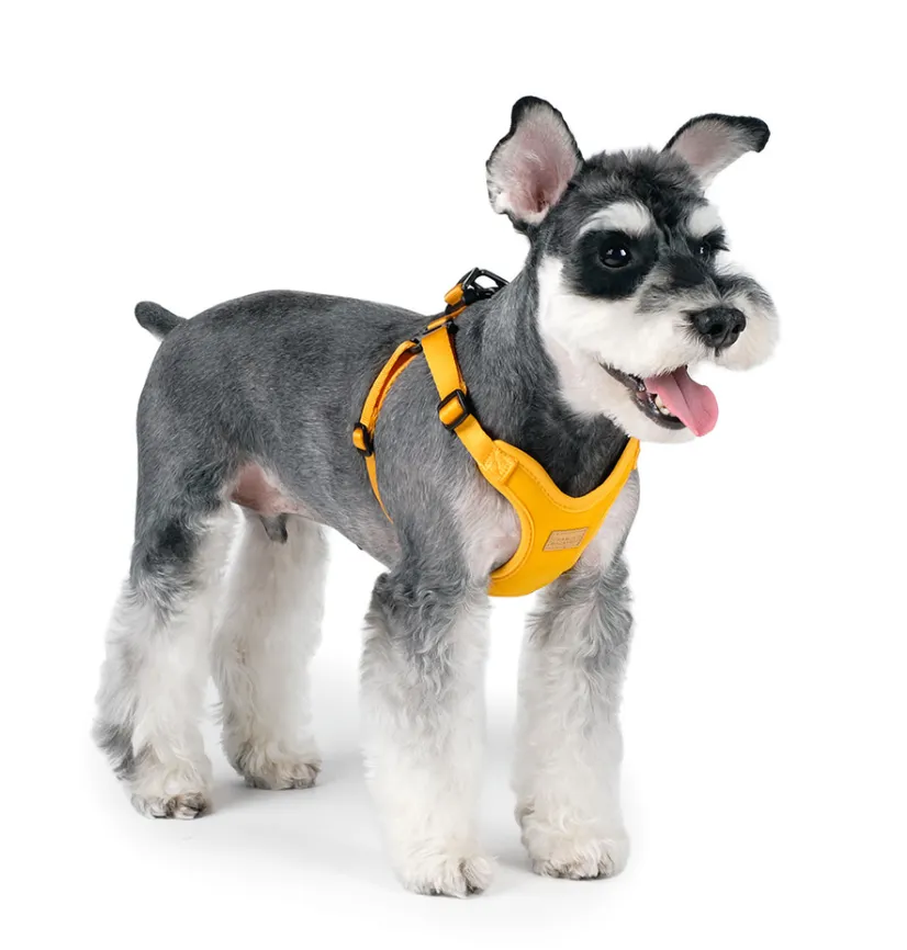 Comfort Dog Harness in Yellow