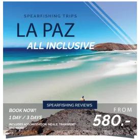 Dive in La Paz