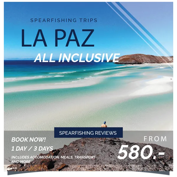 Dive in La Paz