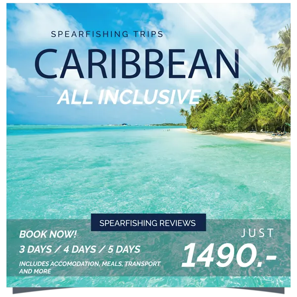 Dive in the Caribbean