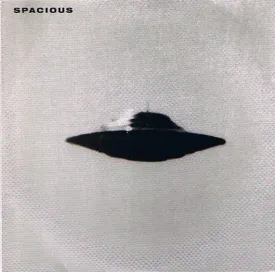 FN355 Spacious - Vector 27 ‎(1995)