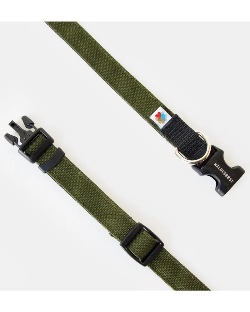 Funston Dog Collar in Olive Green