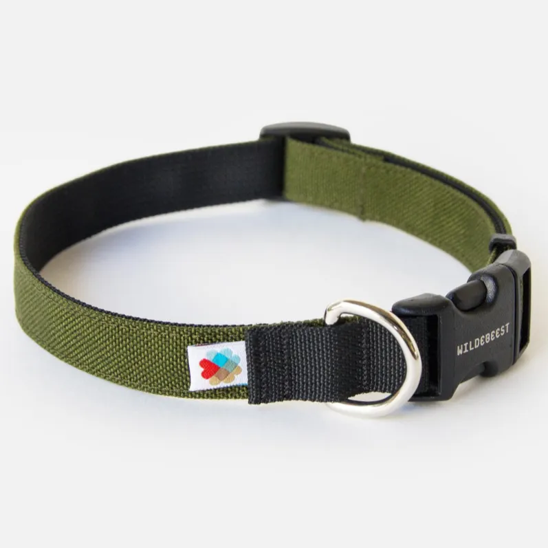 Funston Dog Collar in Olive Green