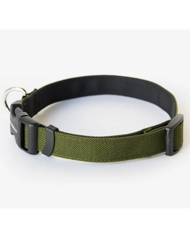 Funston Dog Collar in Olive Green