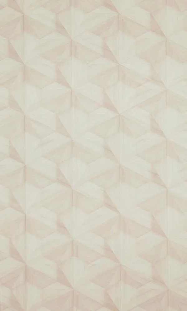 Loft Wooden Hexagon Wallpaper 218414