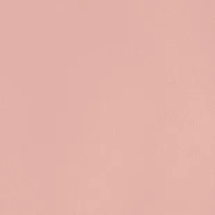 MOON BAG | DARK BLUSH