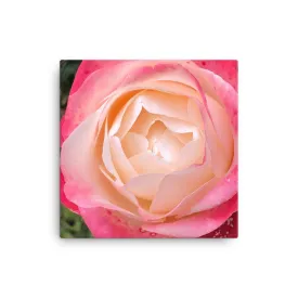 "Deep inside the mellowness"  Pink and Red Flower Canvas