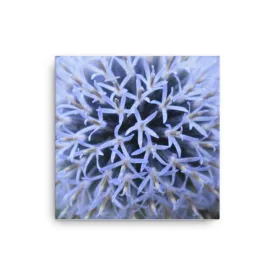 "The Blue Maze Circle" Blue Flower Canvas